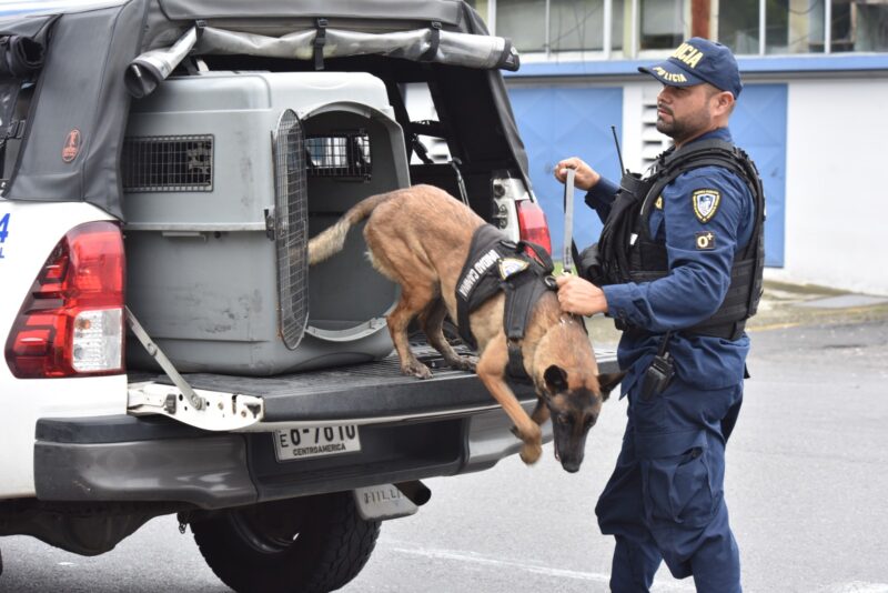 Unidad Canina Fuerza Pública