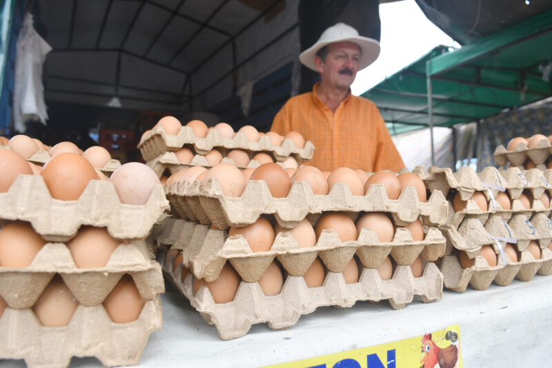 El consumo de huevos en Costa Rica