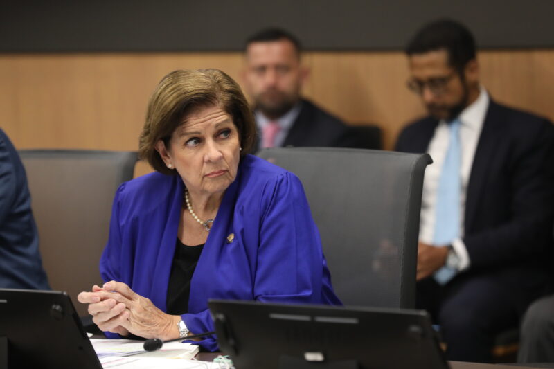 Pilar Cisneros