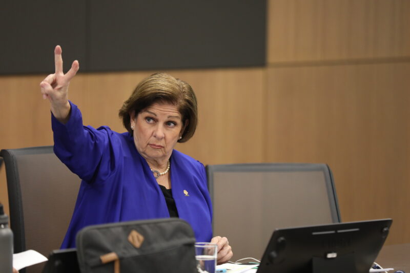 Pilar Cisneros