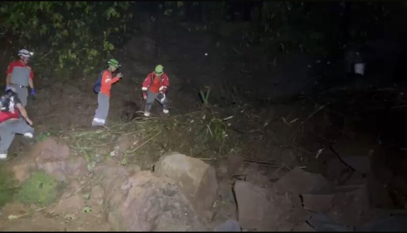 Perros rescatistas se llaman "Soly" y "Gustavo"