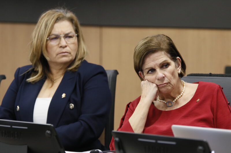 Pilar Cisneros