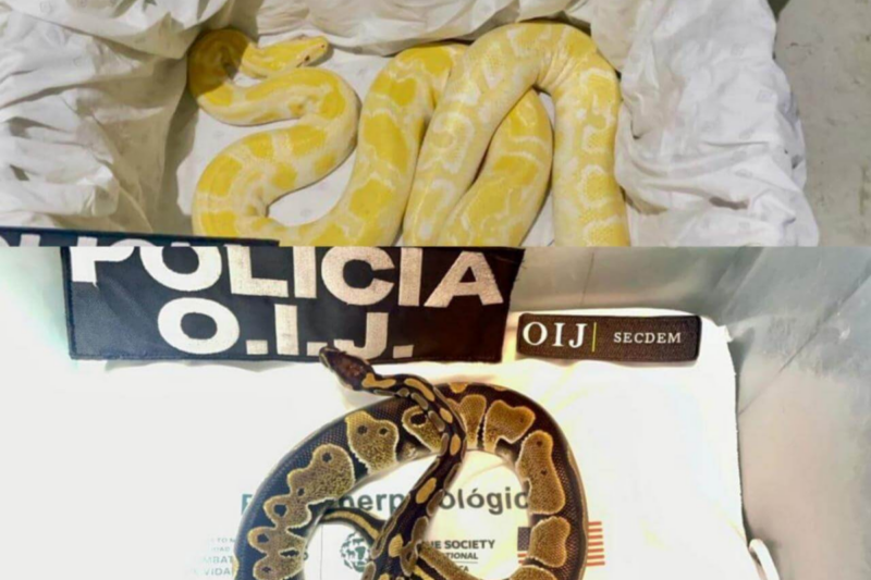 Fotografía cortesía UNA.