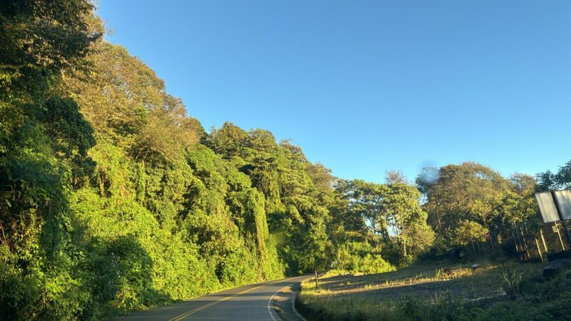 Ruta 2