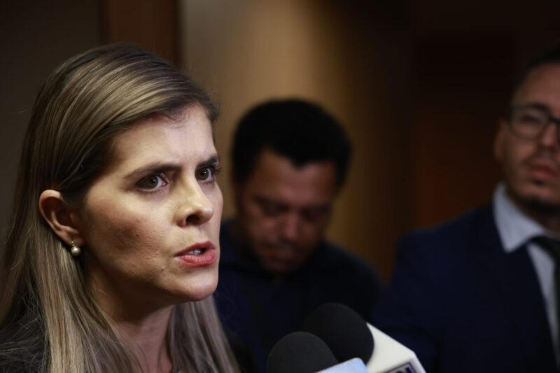 Ministra de la Presidencia, Laura Fernández.