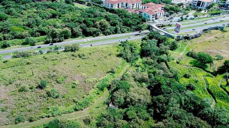 ruta-27-y-parque-Lorne-Ross
