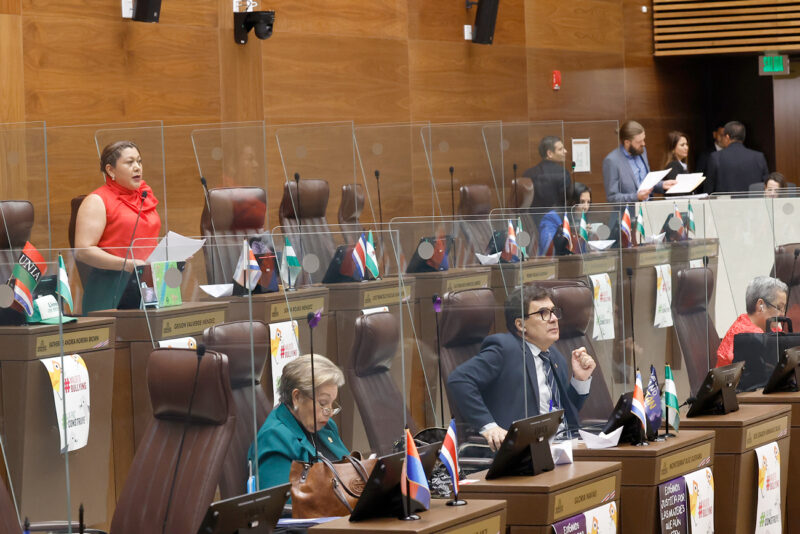 Los congresistas perdieron cerca de 25 minutos de la sesión.