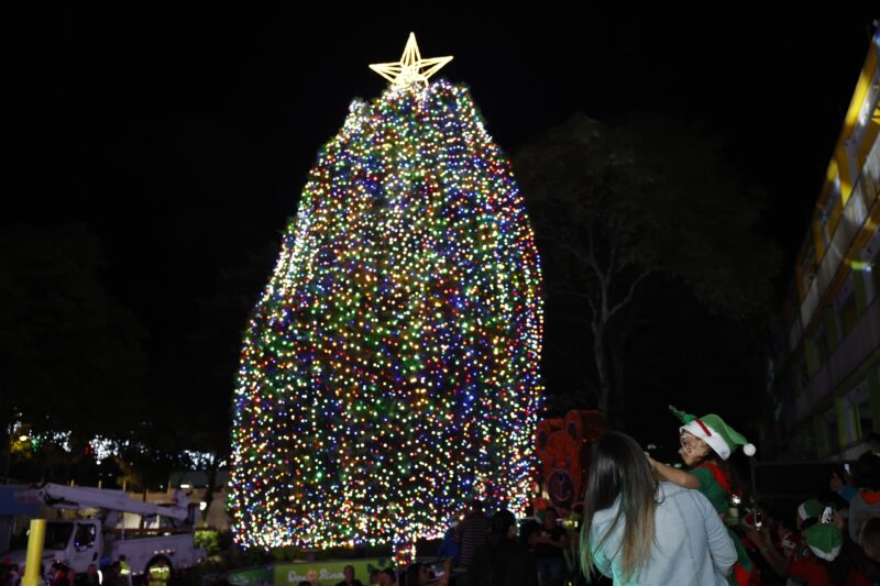 Más de 15 mil luces iluminaron el árbol