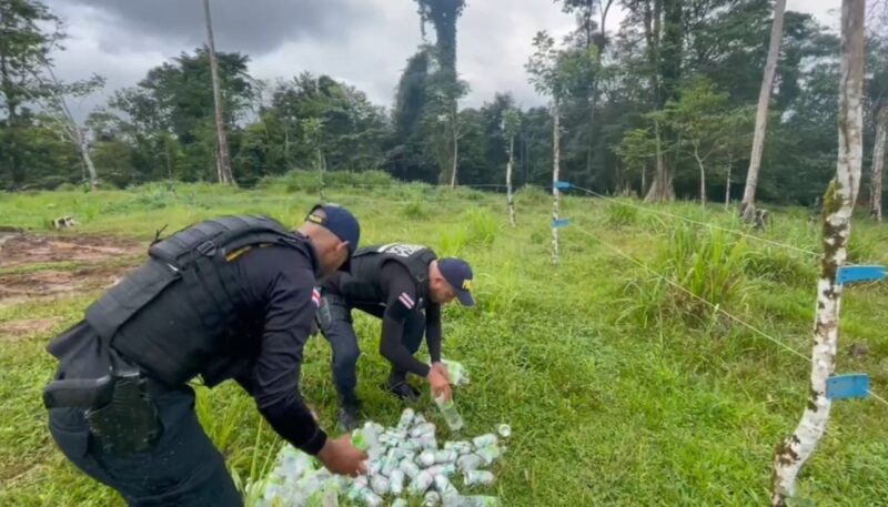 Bebidas alcohólicas podrían contener sustancias tóxicas como metanol