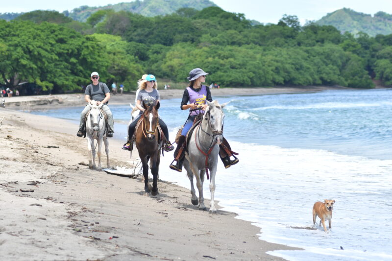 Turistas