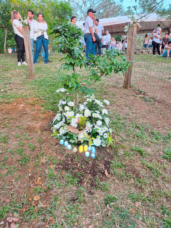 Árbol sembrado en el lugar donde se encontró el cuerpo.