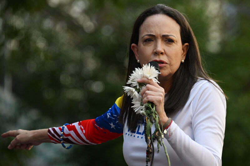 Fue detenida tras encabezar una manifestación
