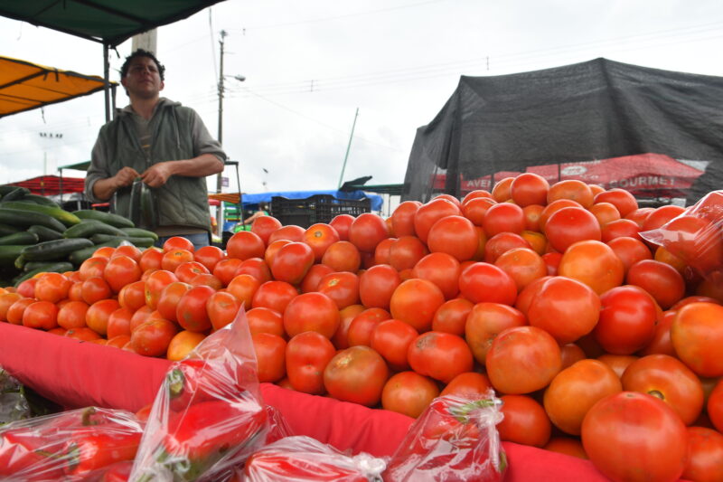 Tomates