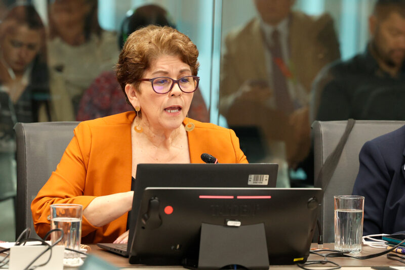 Marta Acosta alertó a los diputados sobre la situación financiera de la seguridad social.