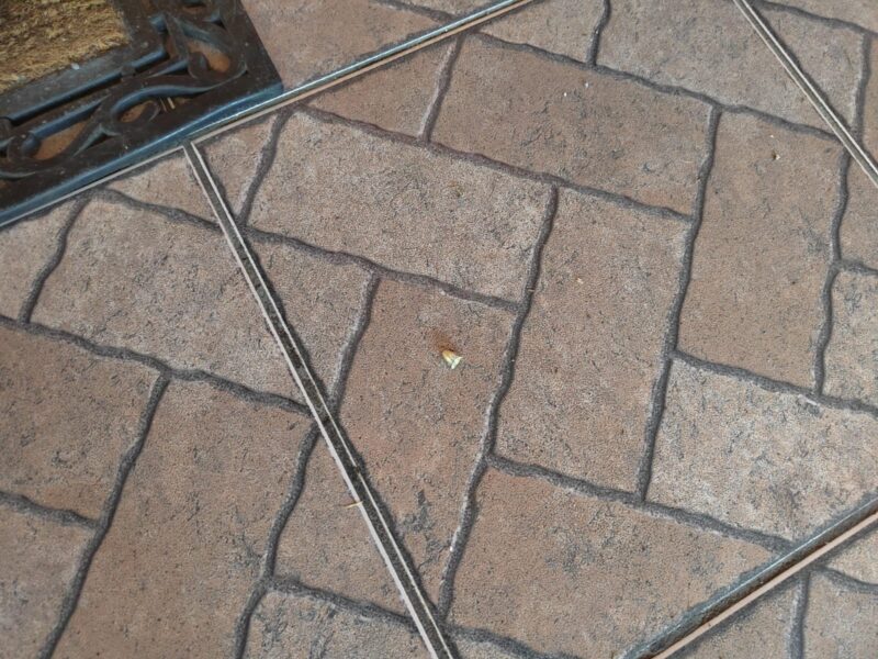 Balacera en Cartago