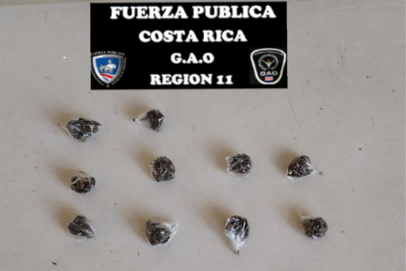 Fuerza Pública detiene contrabandistas de mulas en Los Chiles. Foto: MSP