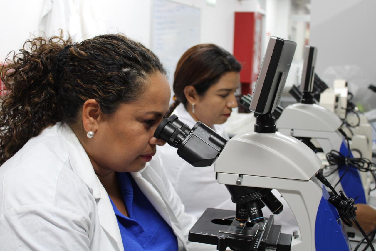 Micitt busca premiar a mujeres líderes en ciencia y tecnología
