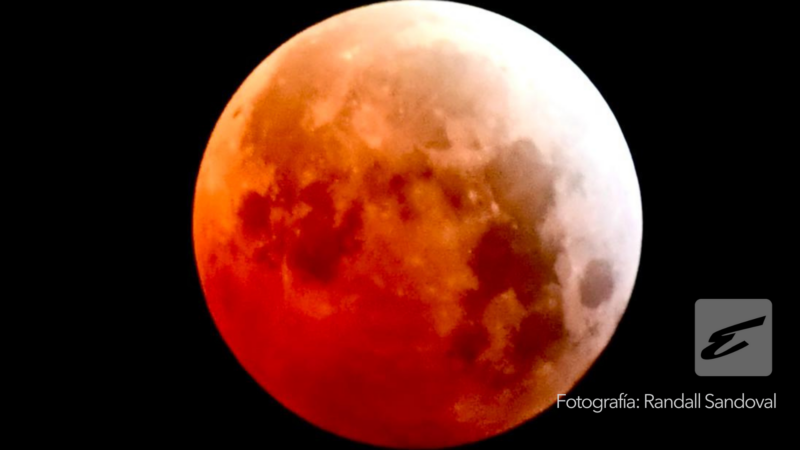 Se perdió el eclipse lunar total? Estas son las mejores fotos