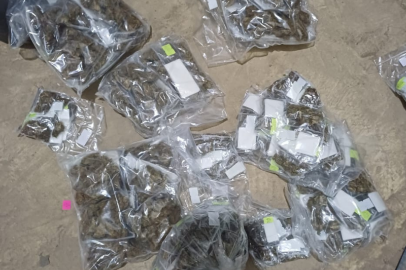 Llaman por violencia y policía halla droga con postal de la Virgen
