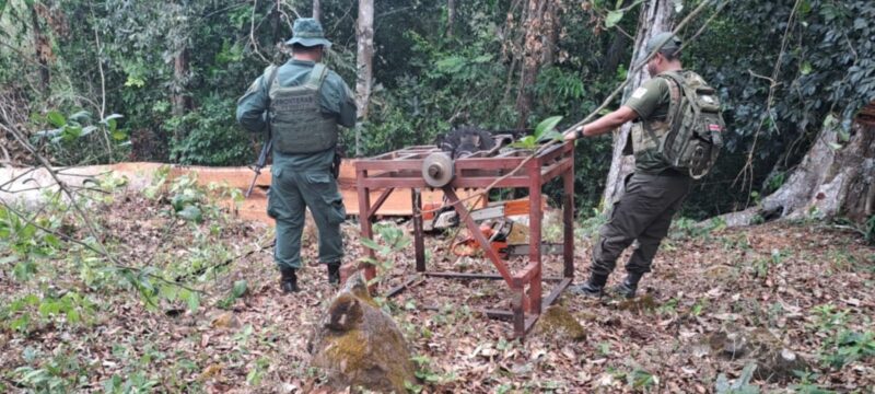Detienen sospechosos de tala ilegal.