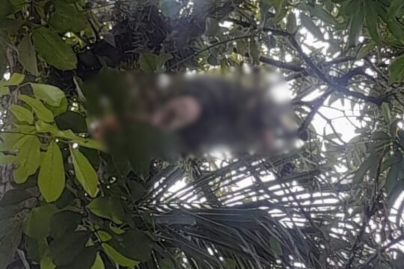 Hombre muere electrocutado en Limón. 