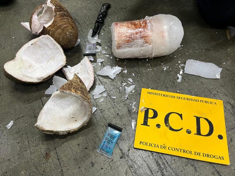 Decomisan droga oculta. Foto: MSP.