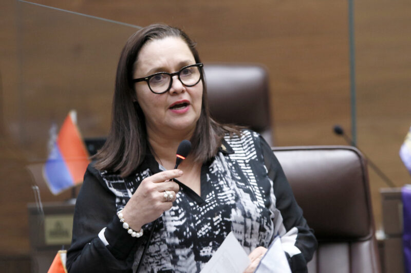 Vanessa Castro, diputada del PUSC.