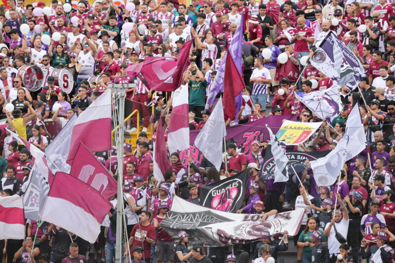 Afición Saprissa Morados
