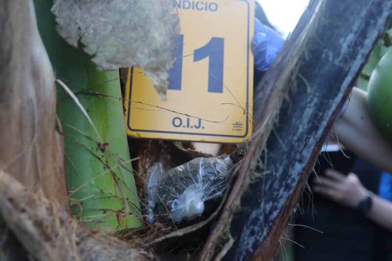 Evidencia decomisada en allanamientos en Batán. Foto: OIJ.