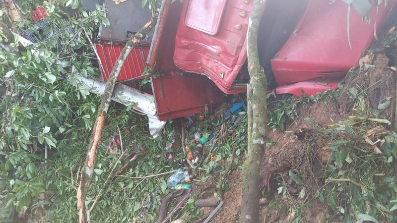 Camión cae a guindo.