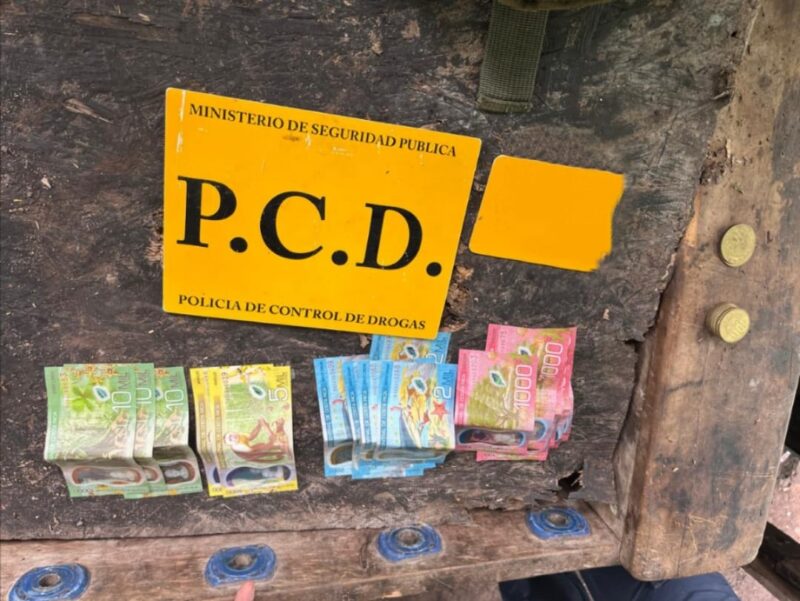 Decomiso de drogas. Foto: MSP.