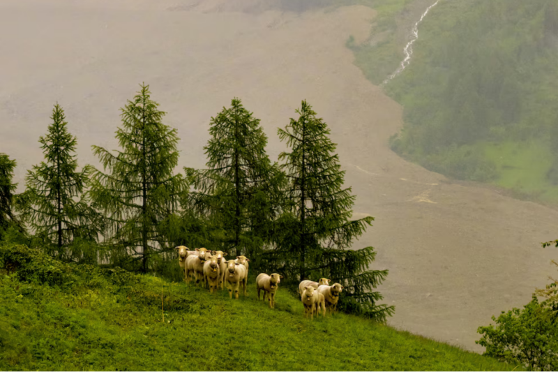 Deslizamiento de glaciar en Suiza. Foto: vía AP. 