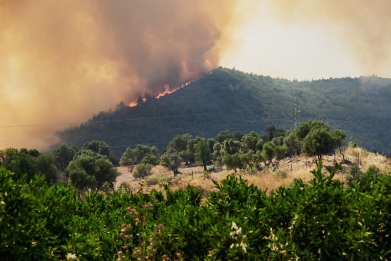 Incendios en Turquía. Foto: AFP. 