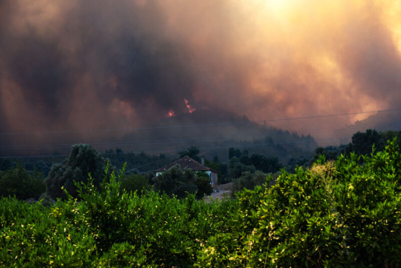 Incendios en Turquía. Foto: AFP. 