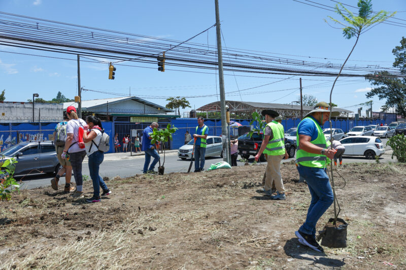 Plantan más de 100 árboles en Alajuelita. Foto: Raquel Vargas. 