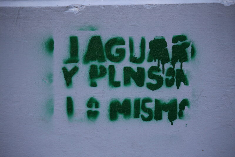 Aparecen grafitis contra Pilar Cisneros. Foto: Sergio Espinoza. 
