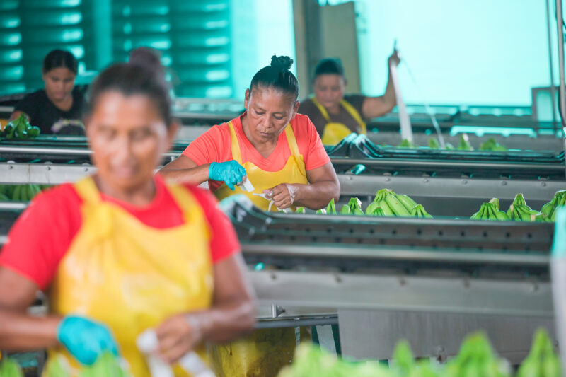 La tasa de desempleo se ubicó en 6,9% en mayo de este año.