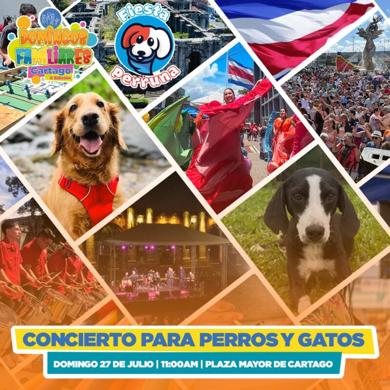 Cartago tendrá concierto para perros y gatos. Foto: Municipalidad de Cartago. 
