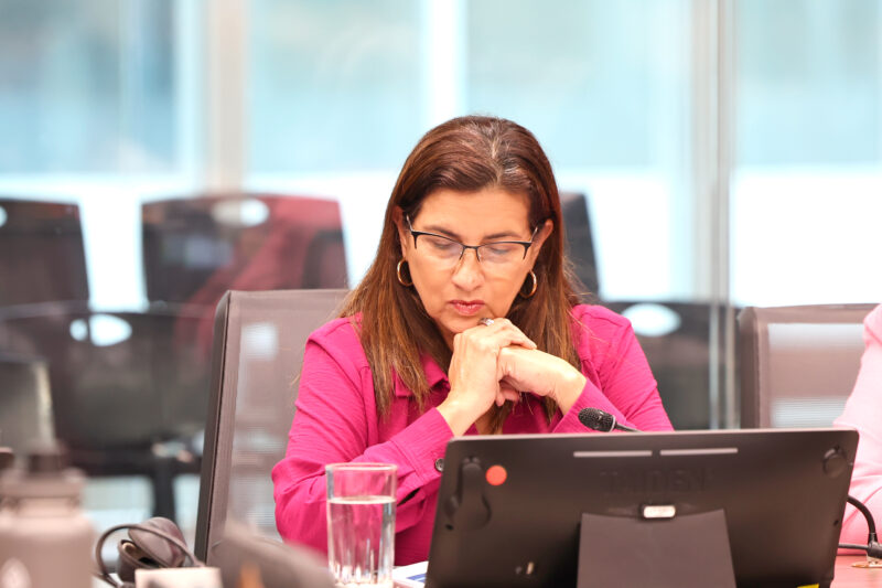 Esquivel descartó que el Gobierno esté proyectando una reforma.