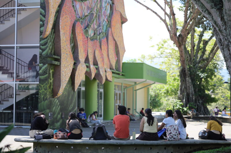 Los menores podrán concursar para estudiar una profesión a partir del próximo año
