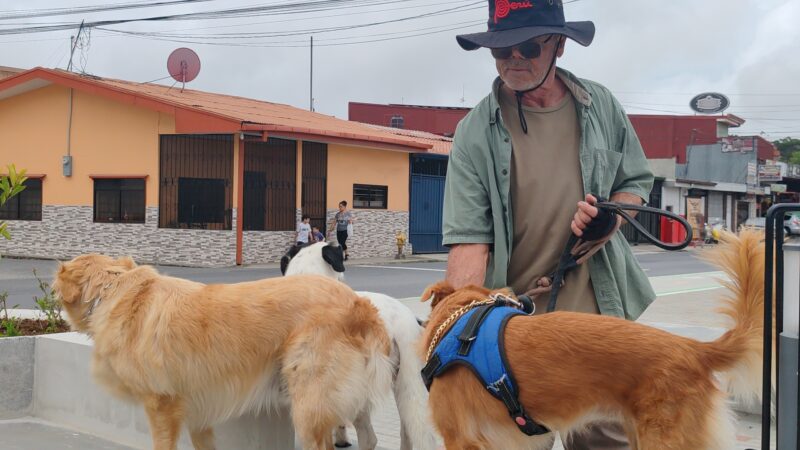 Cartago tendrá concierto para perros y gatos. Foto: Municipalidad de Cartago. 