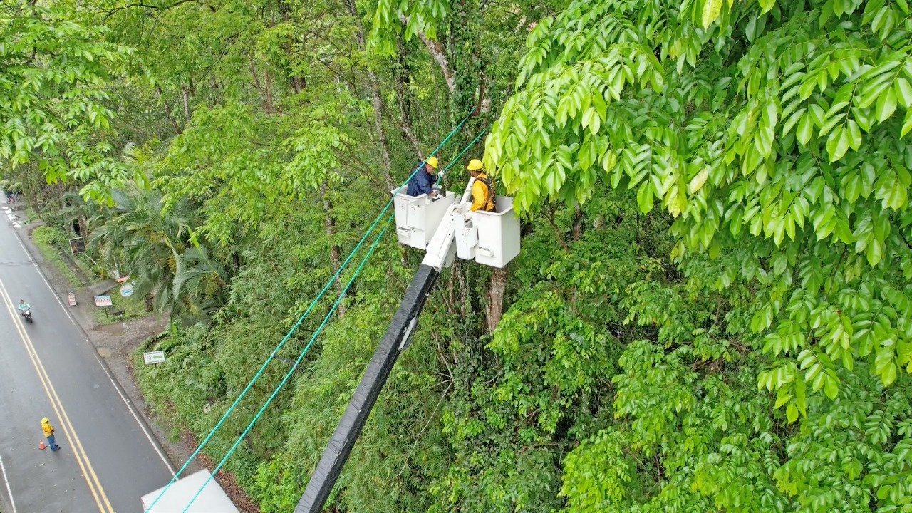 ICE invirtió casi ₡2 mil millones para proteger fauna de electrocuciones