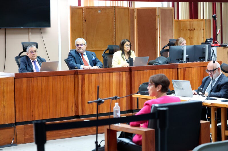 La periodista testificó durante el debate.