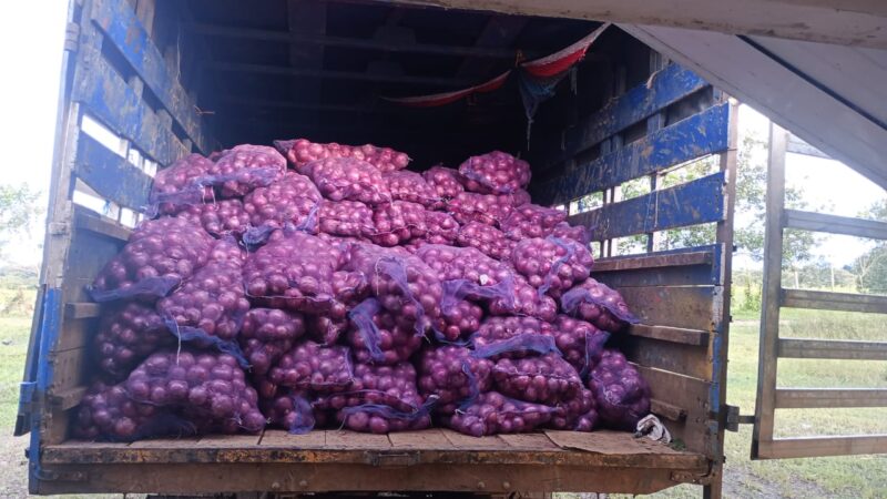 Fuerza Pública frustra ingreso ilegal de cebolla valorada en ₡16 millones
