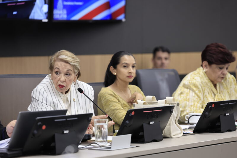 Gloria Navas en la Comisión de Seguridad y Narcotráfico.