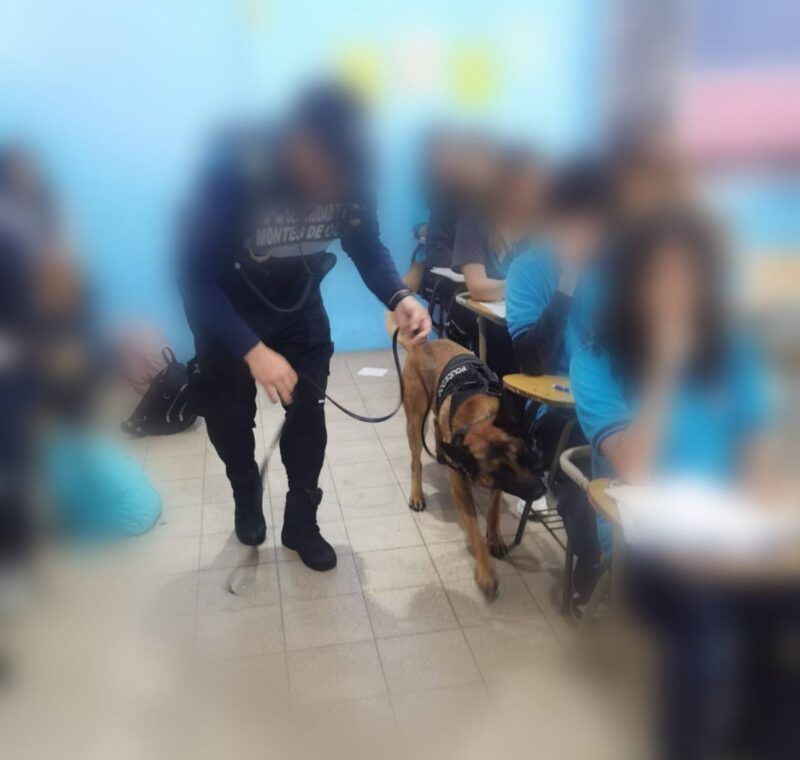 Fotos: Vea la cantidad de droga que encontró la policía dentro de colegio