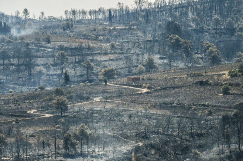 Incendio forestal en Francia. Foto: AFP. 