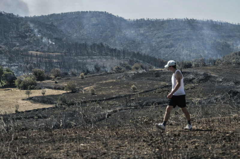 Incendio forestal en Francia. Foto: AFP. 