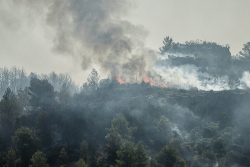 Incendio forestal en Francia. Foto: AFP.