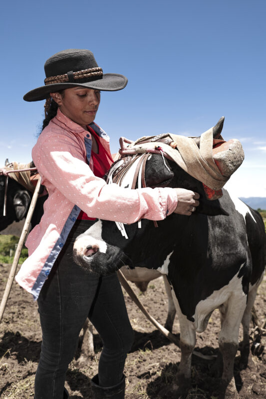 Mamá boyera. Foto: Wilbert Hernández. 